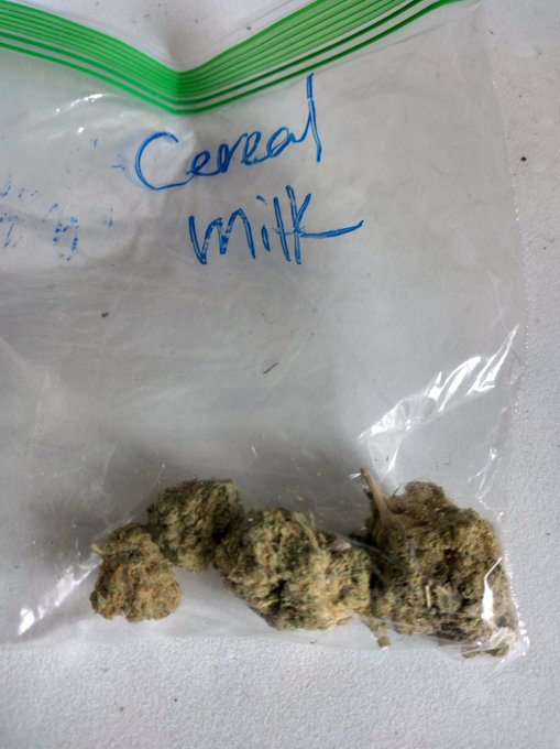 Found weed. Cereal Milk 