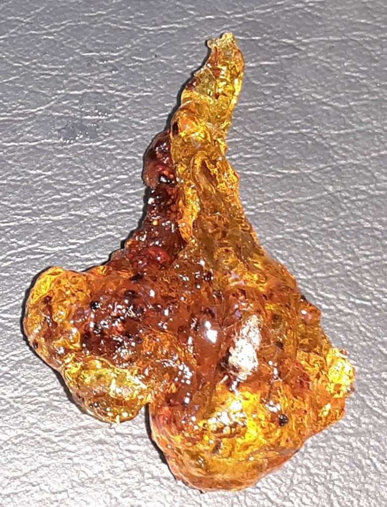 Chunk of Amber found in park. 